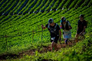 BIB: 
                            <button type="button" onclick="openModal(19161090)" class="btn btn-primary btn-sm float-right btn-popup" data-toggle="modal" data-target=".modal-high-quality">
                        <i class="fas fa-shopping-cart"></i> Add to Cart
                    </button>
                                            <button type="button" onclick="isThisMe(19161090, true)" class="btn btn-success btn-sm float-right btn-popup btn-isme hidden" data-toggle="tooltip" data-placement="bottom" title="นี่คือรูปของคุณใช่ไหม คลิกที่นี่เพื่อเอาเข้าอัลบั้ม">
                        <i class="fas fa-plus"></i> Add to album
                    </button>
                    <button type="button" onclick="isThisMe(19161090, false)" class="btn btn-warning btn-sm float-right btn-popup btn-isnotme hidden">
                        <i class="fas fa-ban"></i> Remove from album
                    </button>